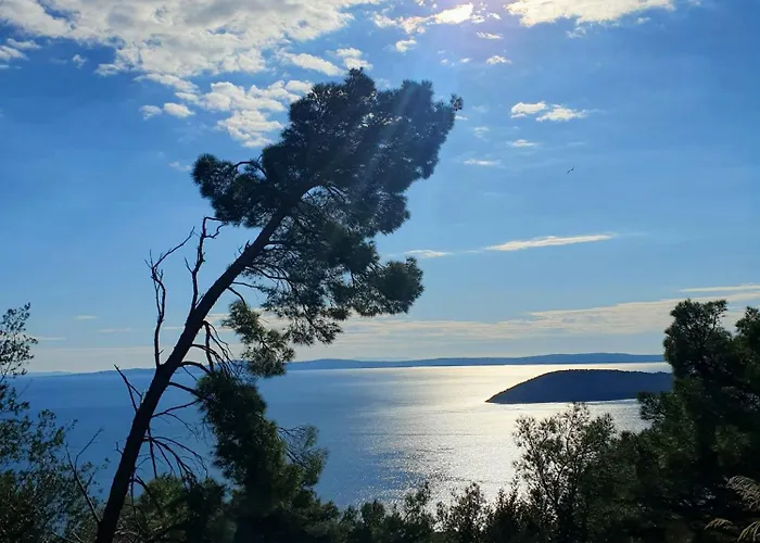 Vacation Liberation Daire *